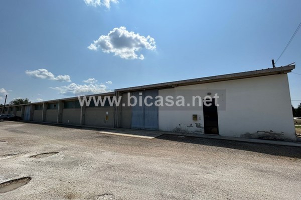 img-20230619-wa0017 - capannone Pesaro (PU) CENTRO CITTA, VILLA FASTIGI 