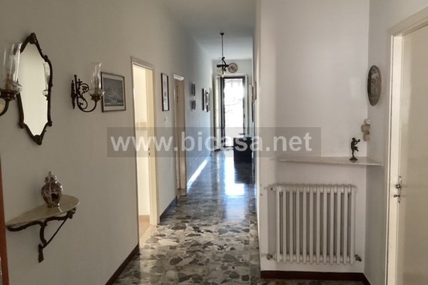 img_0159 - Appartamento Urbino (PU) CENTRO 