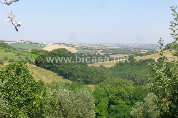 panorama1 - Rustico Casolare Cascina Mombaroccio (PU) MONTEGIANO 