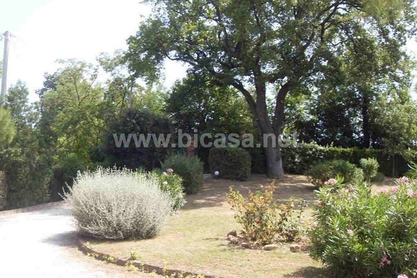 sdc10017 - Unifamiliare Villa Fano (PU) CUCCURANO 